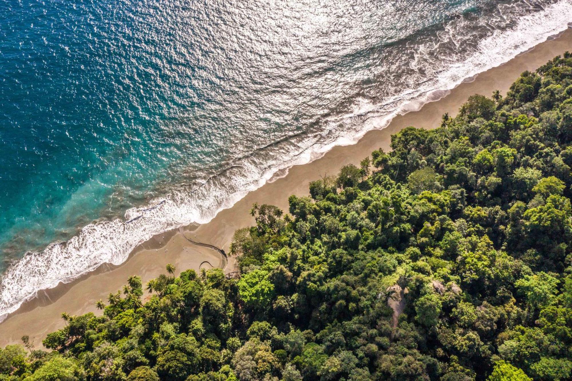 El Remanso Rainforest Lodge Пуэрто-Хименес Экстерьер фото