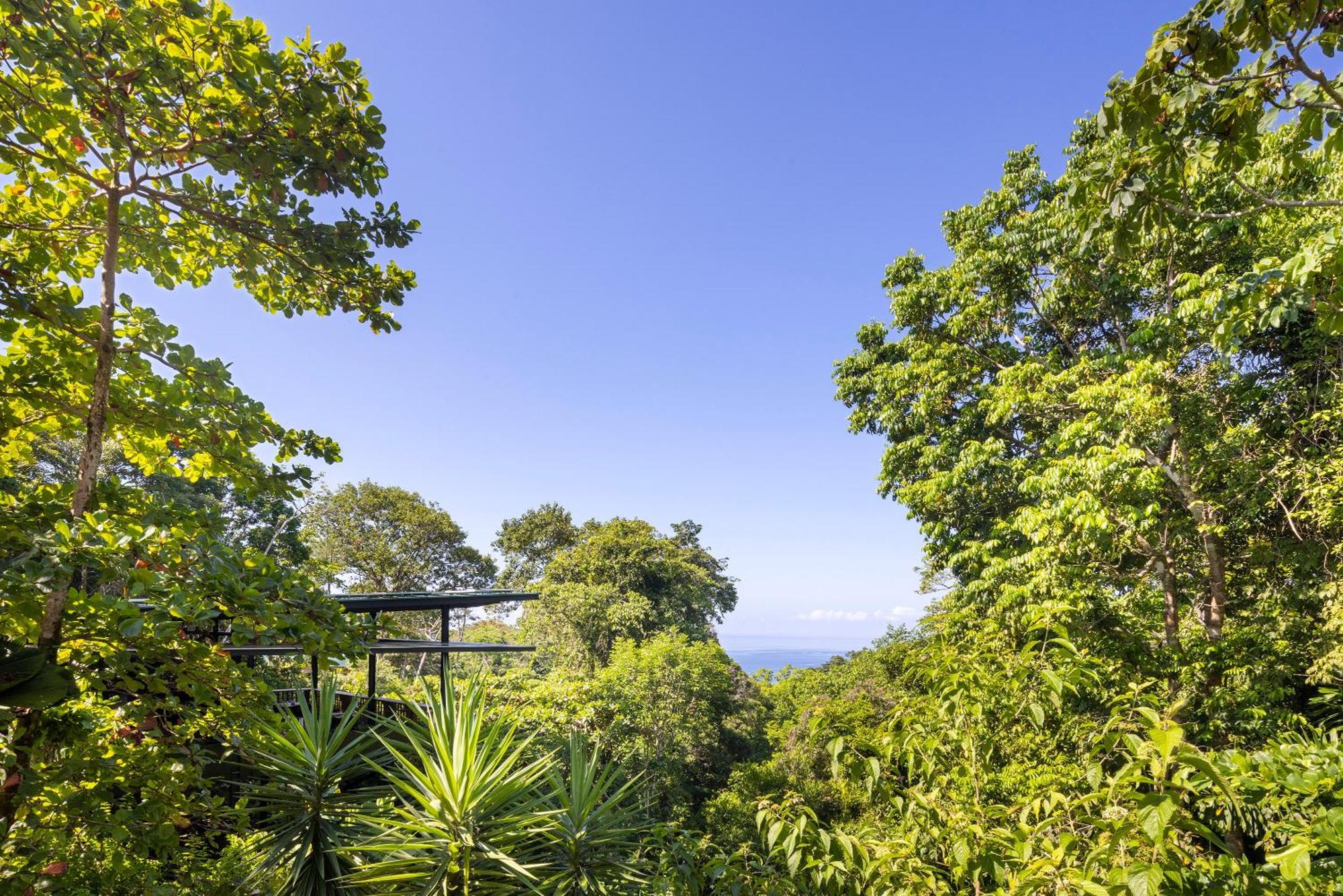 El Remanso Rainforest Lodge Пуэрто-Хименес Экстерьер фото