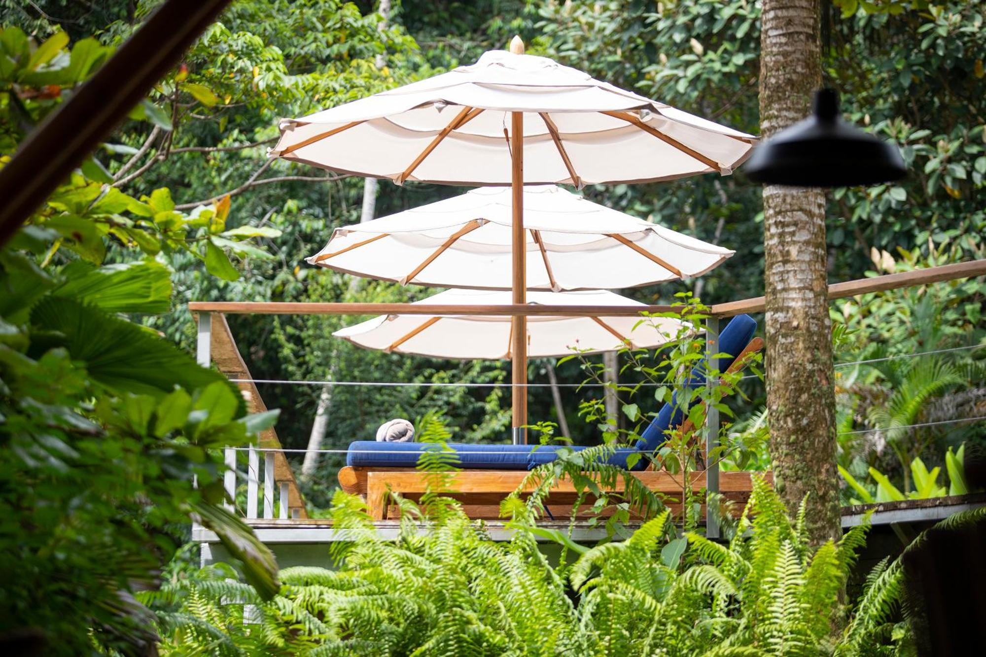 El Remanso Rainforest Lodge Пуэрто-Хименес Экстерьер фото