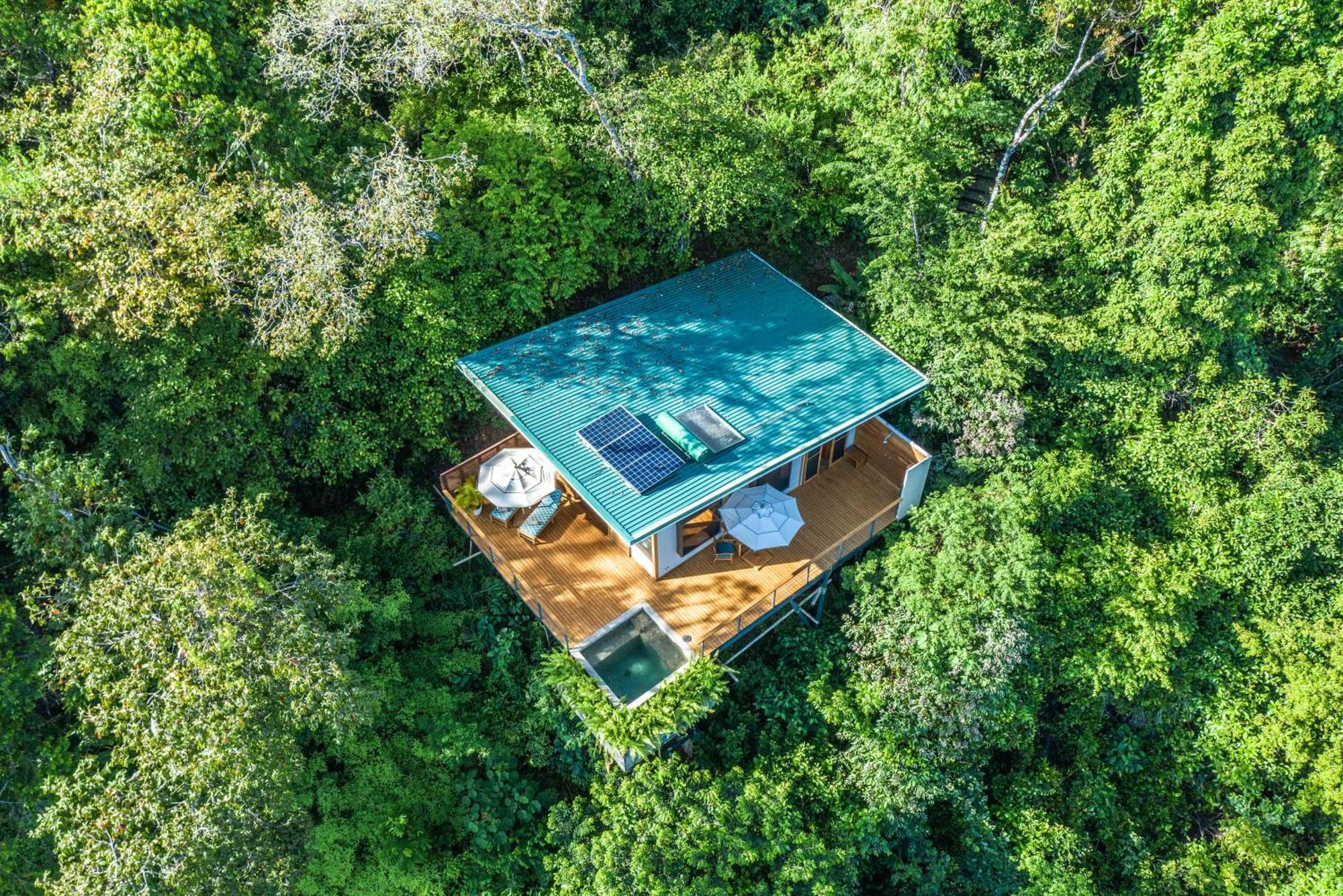 El Remanso Rainforest Lodge Пуэрто-Хименес Экстерьер фото