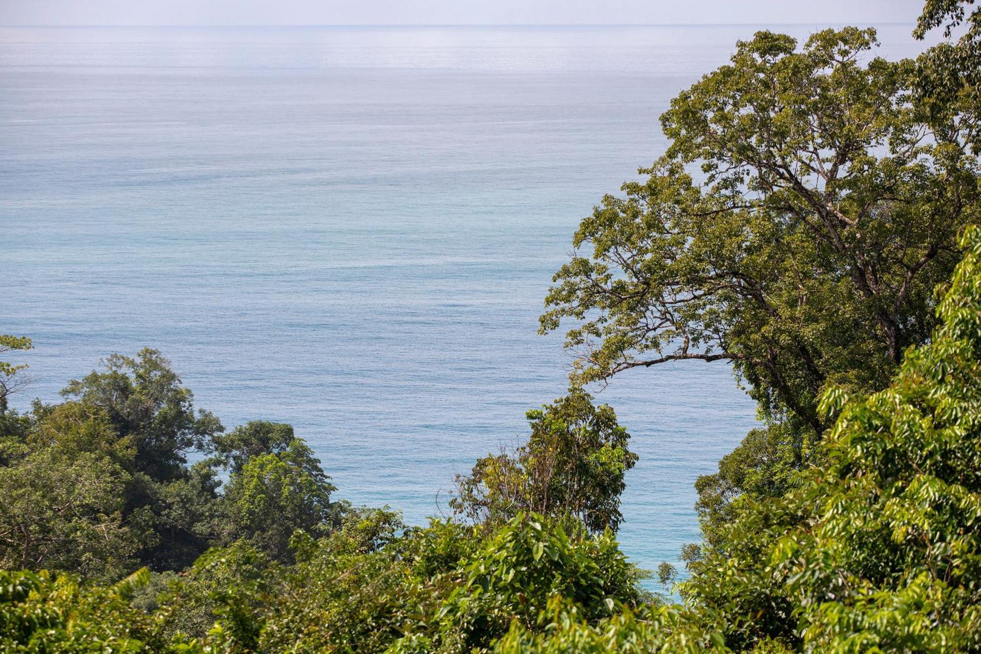 El Remanso Rainforest Lodge Пуэрто-Хименес Экстерьер фото