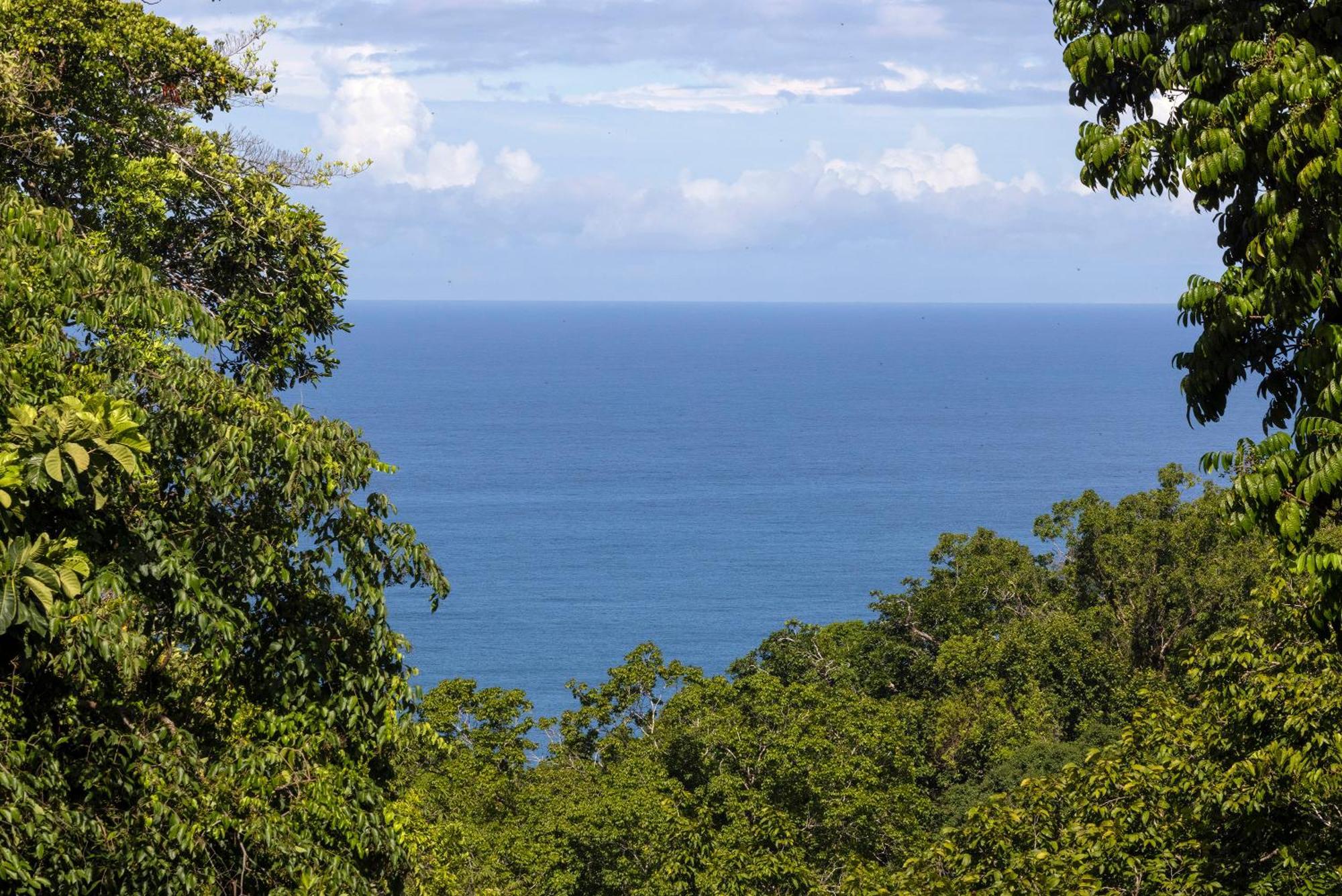 El Remanso Rainforest Lodge Пуэрто-Хименес Экстерьер фото